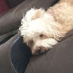 Meet your Posher, Nancy